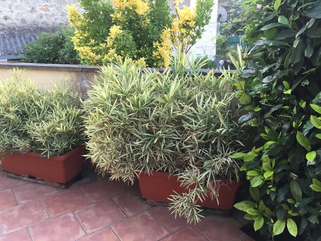 A Casa Di Grace Bed and Breakfast Cassino Εξωτερικό φωτογραφία